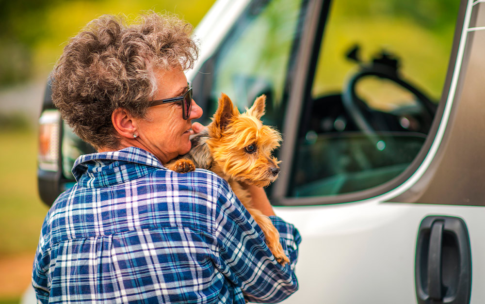 pessoa viajando de motorhome com seus animais de estimação.
