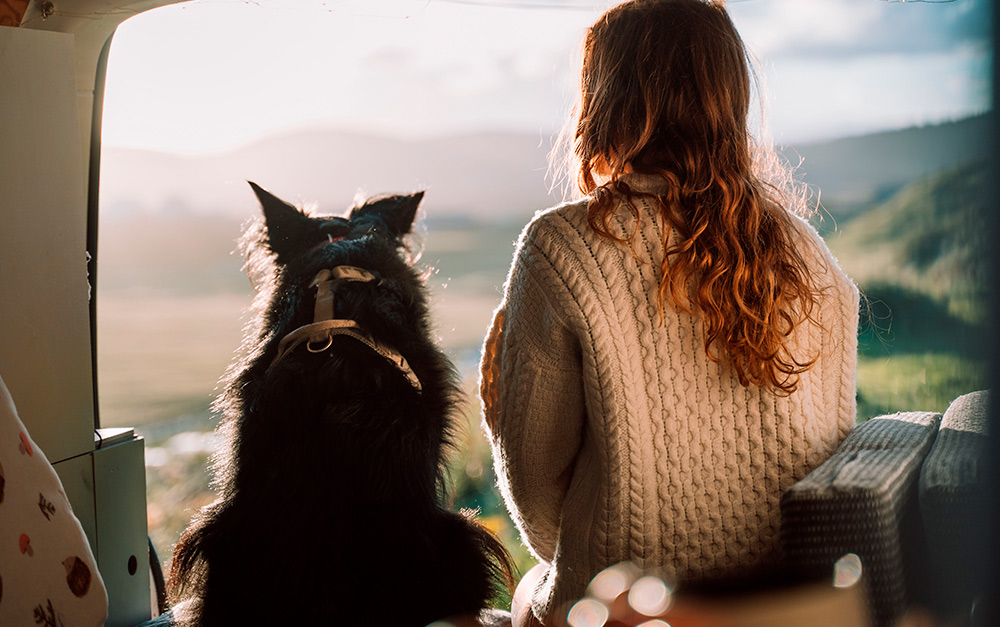 Imagem de uma pessoa realizando uma viagem de motorhome com um de seus pets.